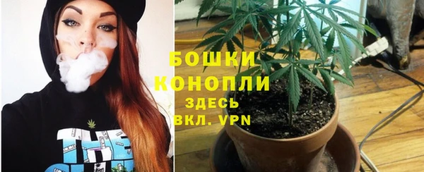 PSILOCYBIN Магас
